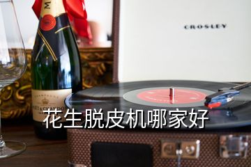花生脫皮機哪家好