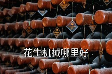 花生機械哪里好