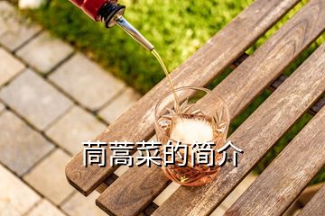 茼蒿菜的簡介