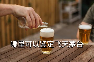 哪里可以鑒定飛天茅臺