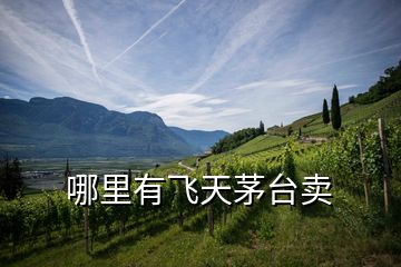 哪里有飛天茅臺(tái)賣(mài)