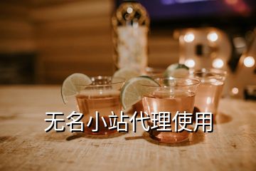 無(wú)名小站代理使用