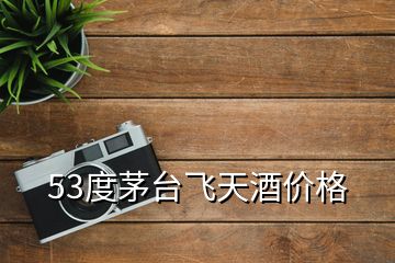 53度茅臺(tái)飛天酒價(jià)格