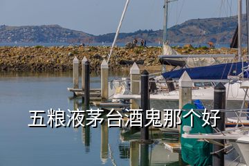 五糧液茅臺(tái)酒鬼那個(gè)好