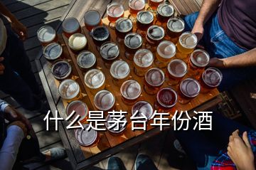 什么是茅臺年份酒