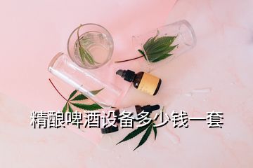 精釀啤酒設備多少錢一套