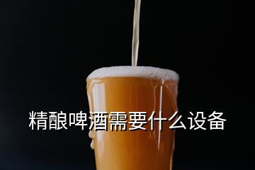 精釀啤酒需要什么設備