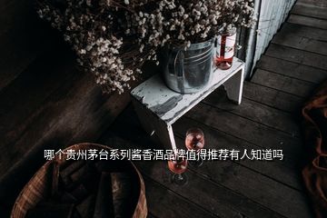 哪個(gè)貴州茅臺系列醬香酒品牌值得推薦有人知道嗎
