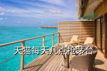 天貓每天幾點搶茅臺