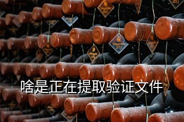 啥是正在提取驗(yàn)證文件