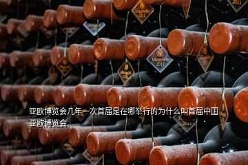亞歐博覽會(huì)幾年一次首屆是在哪舉行的為什么叫首屆中國(guó)亞歐博覽會(huì)