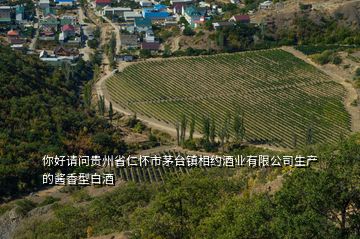 你好請(qǐng)問(wèn)貴州省仁懷市茅臺(tái)鎮(zhèn)相約酒業(yè)有限公司生產(chǎn)的醬香型白酒
