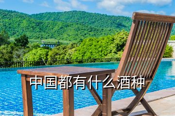 中國都有什么酒種