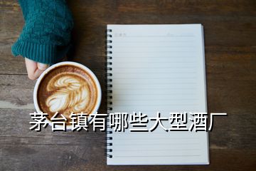 茅臺(tái)鎮(zhèn)有哪些大型酒廠