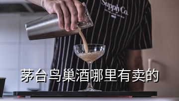 茅臺(tái)鳥巢酒哪里有賣的