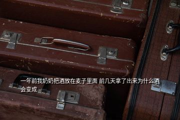 一年前我奶奶把酒放在麥子里面 前幾天拿了出來(lái)為什么酒會(huì)變成