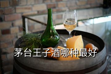 茅臺王子酒哪種最好