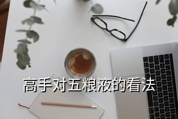 高手對(duì)五糧液的看法