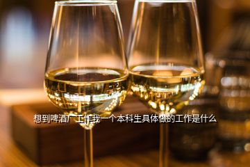 想到啤酒廠工作我一個(gè)本科生具體做的工作是什么