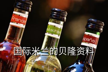 國(guó)際米蘭的貝隆資料
