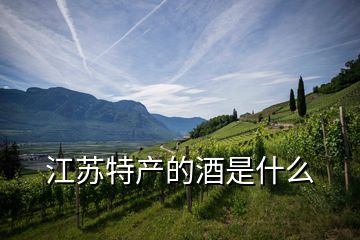 江蘇特產(chǎn)的酒是什么