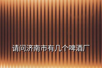 請(qǐng)問(wèn)濟(jì)南市有幾個(gè)啤酒廠