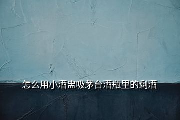 怎么用小酒盅吸茅臺(tái)酒瓶里的剩酒