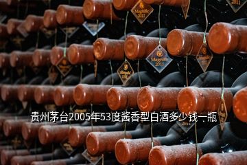 貴州茅臺(tái)2005年53度醬香型白酒多少錢一瓶