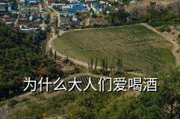 為什么大人們愛(ài)喝酒
