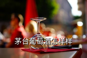 茅臺葡萄酒怎樣樣