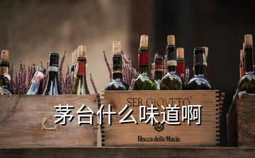 茅臺(tái)什么味道啊