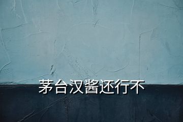 茅臺漢醬還行不