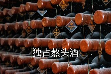 獨(dú)占熬頭酒