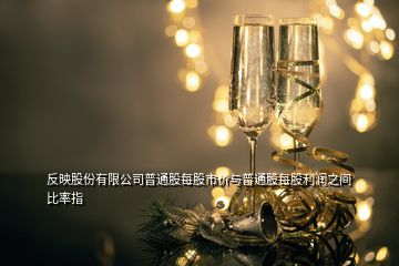 反映股份有限公司普通股每股市價(jià)與普通股每股利潤(rùn)之間比率指
