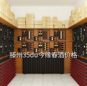 滕州35du今緣春酒價格