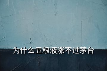 為什么五糧液漲不過(guò)茅臺(tái)