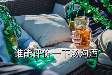 誰(shuí)能評(píng)價(jià)一下湯溝酒