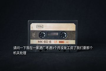 請(qǐng)問(wèn)一下我在一家酒廠考酒3個(gè)月沒發(fā)工資了我們要那個(gè)機(jī)關(guān)處理
