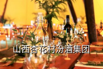 山西杏花村汾酒集團