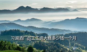習(xí)湖酒廠員工工資大概多少錢(qián)一個(gè)月