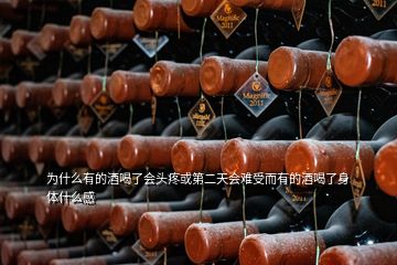 為什么有的酒喝了會頭疼或第二天會難受而有的酒喝了身體什么感