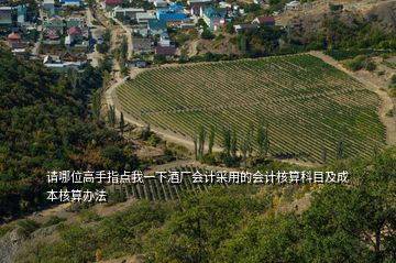 請哪位高手指點我一下酒廠會計采用的會計核算科目及成本核算辦法