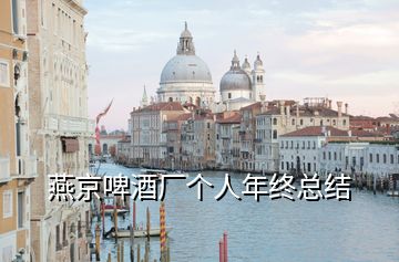 燕京啤酒廠個人年終總結(jié)