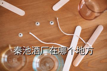 秦池酒廠在哪個地方