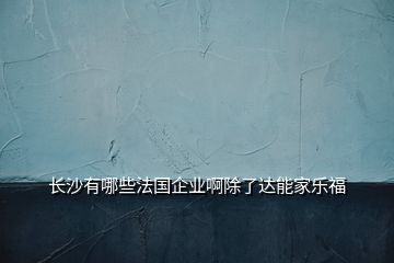 長沙有哪些法國企業(yè)啊除了達(dá)能家樂福