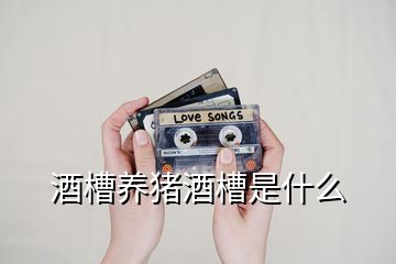酒槽養(yǎng)豬酒槽是什么
