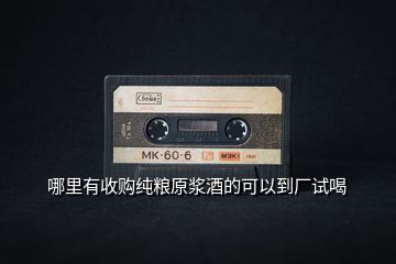 哪里有收購(gòu)純糧原漿酒的可以到廠試喝