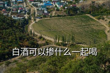 白酒可以摻什么一起喝