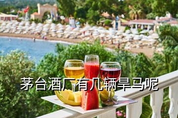 茅臺(tái)酒廠有幾輛旱馬呢