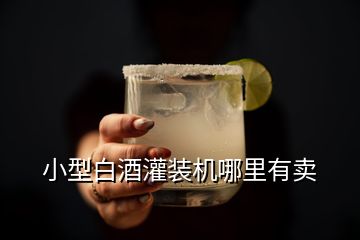 小型白酒灌裝機(jī)哪里有賣